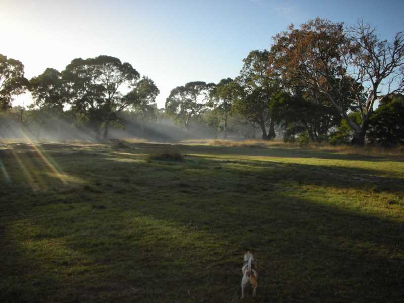 Bushwalk photo1