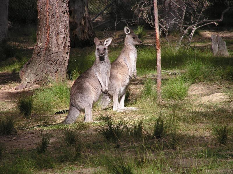 Bushwalk photo5