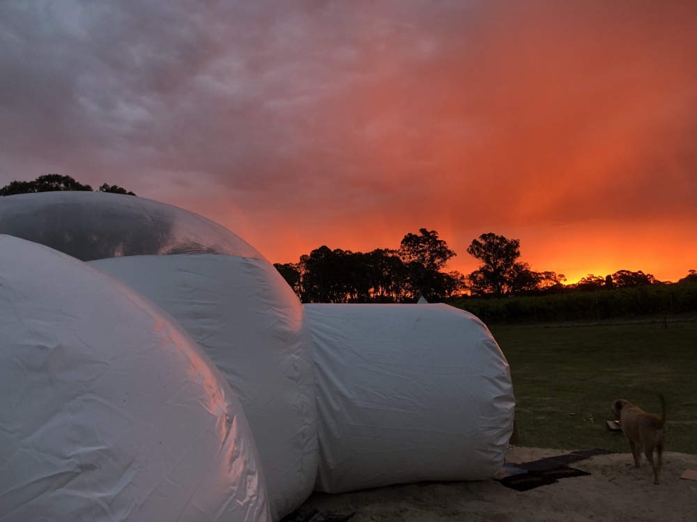 Bubble Apartments detail 0